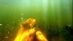 The Shannara Chronicles ศึกพิภพแห่งแชนนารา SS01 EP03