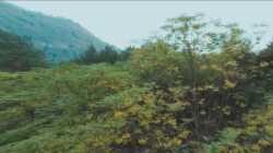 Rakshasa Street เพชฌฆาตสับอสูร EP07